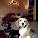Rittis Alpin Dachstein Apart-hotel