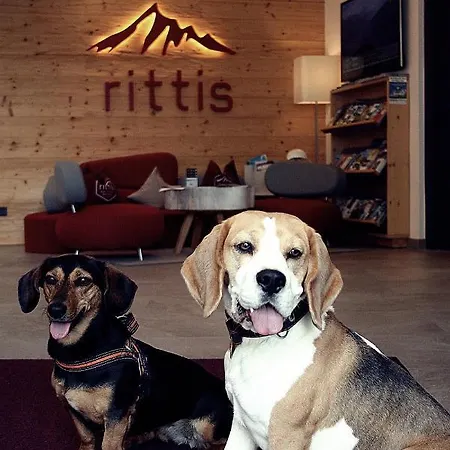 Rittis Alpin Dachstein Apart-hotel