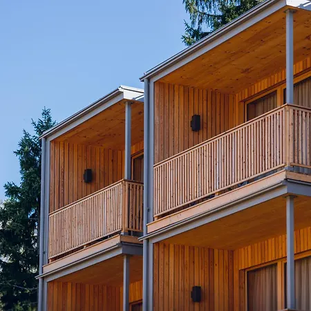 リティス アルペン ダッハシュタイン 4*