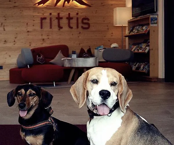 Rittis Alpin Dachstein Aparthotel