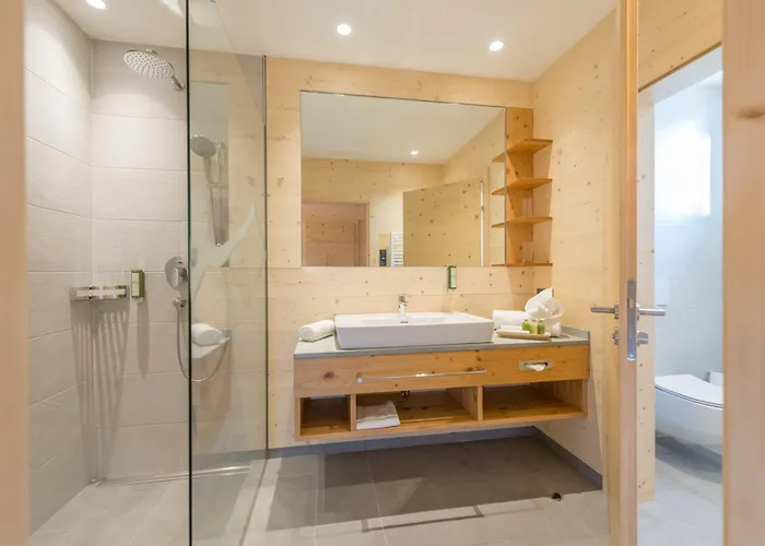 Rittis Alpin Dachstein Apart Otel