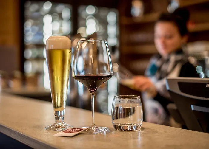 شقة فندقية ريتيس ألبين شاليهز داشستين