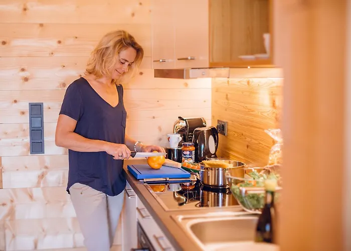 Rittis Alpin Dachstein Apart Otel