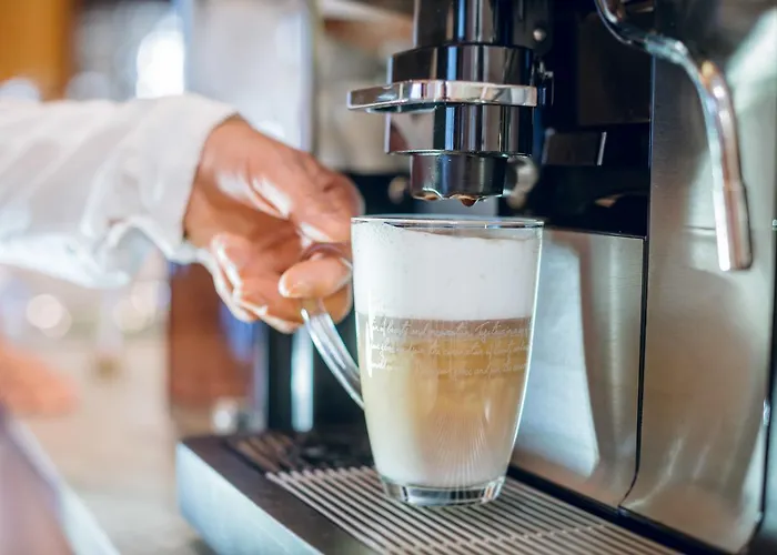 Rittis Alpin Dachstein Apart Otel