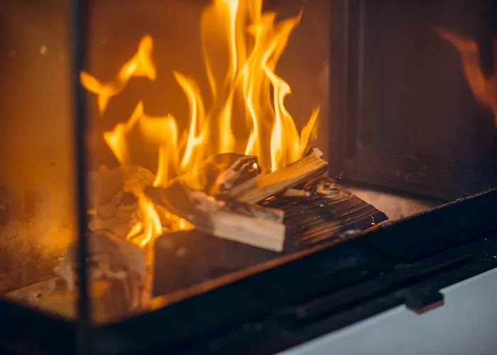 Rittis Alpin Dachstein Apart Otel