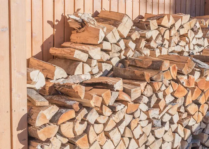 Rittis Alpin Dachstein Aparthotel Ramsau am Dachstein