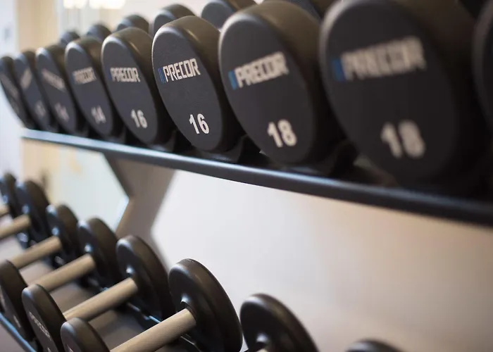 Rittis Alpin Dachstein Aparthotel