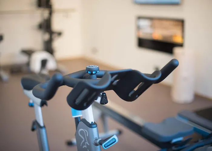 Apartahotel Rittis Alpin Dachstein Ramsau am Dachstein